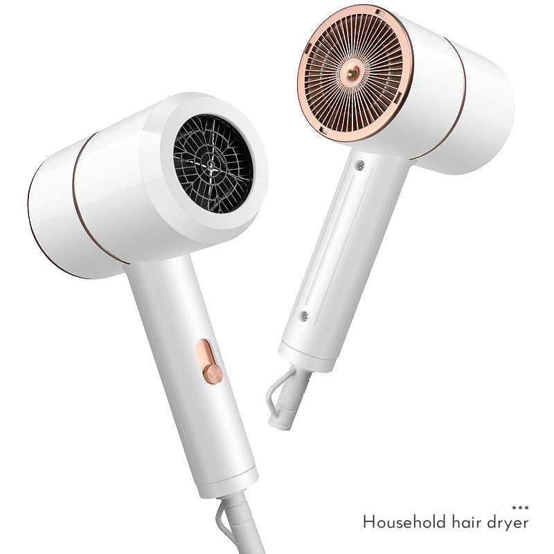 Anion Professional Hair Dryer