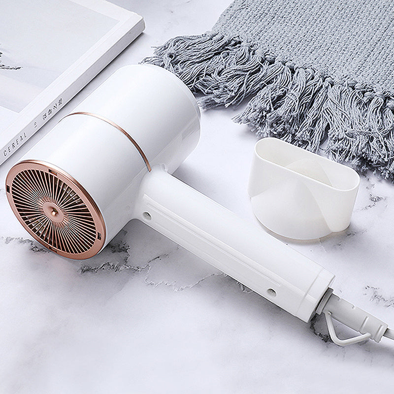 Anion Professional Hair Dryer